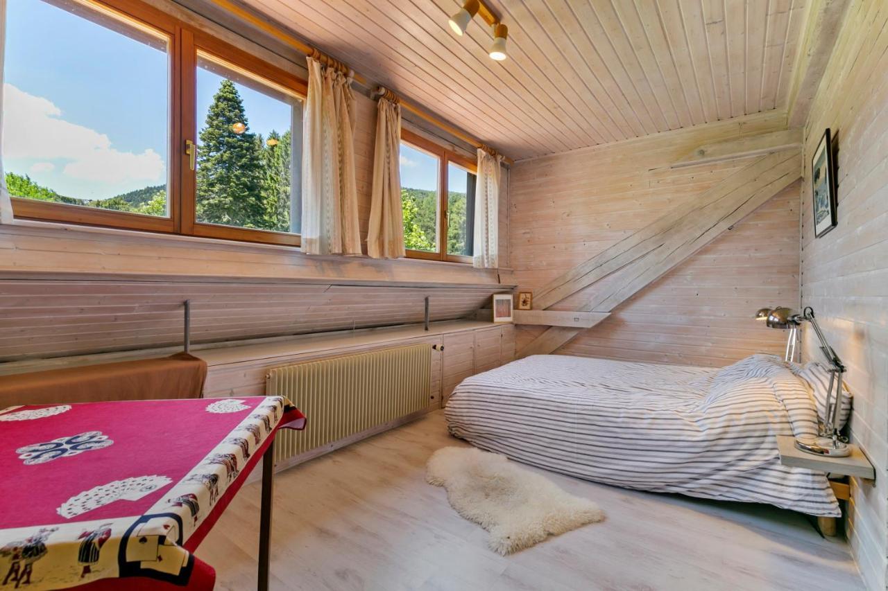 Chalet Spacieux A Wangenbourg-Engenthal Avec Vue Panoramique 외부 사진
